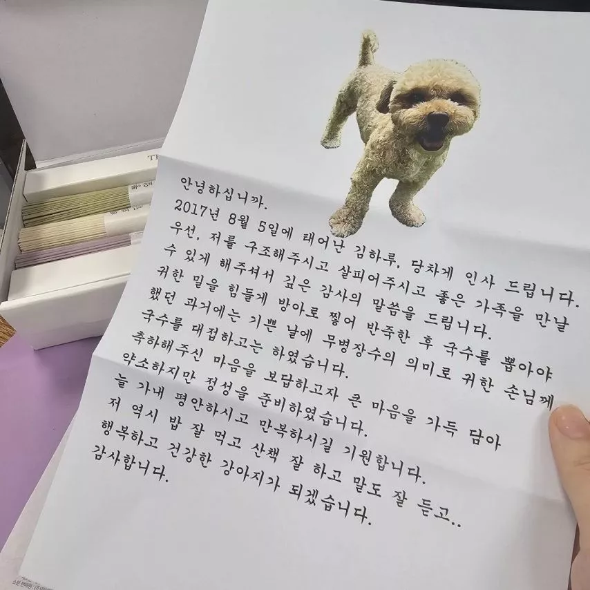 본문 이미지